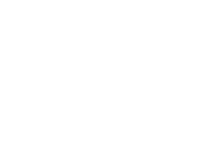 東莞市飛揚(yáng)包裝機(jī)械設(shè)備有限公司logo